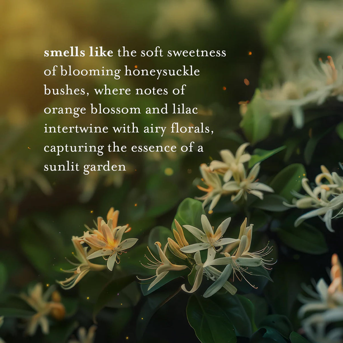 A LA MAISON bottle label detail highlighting French-made ingredients and traditional craft benefit