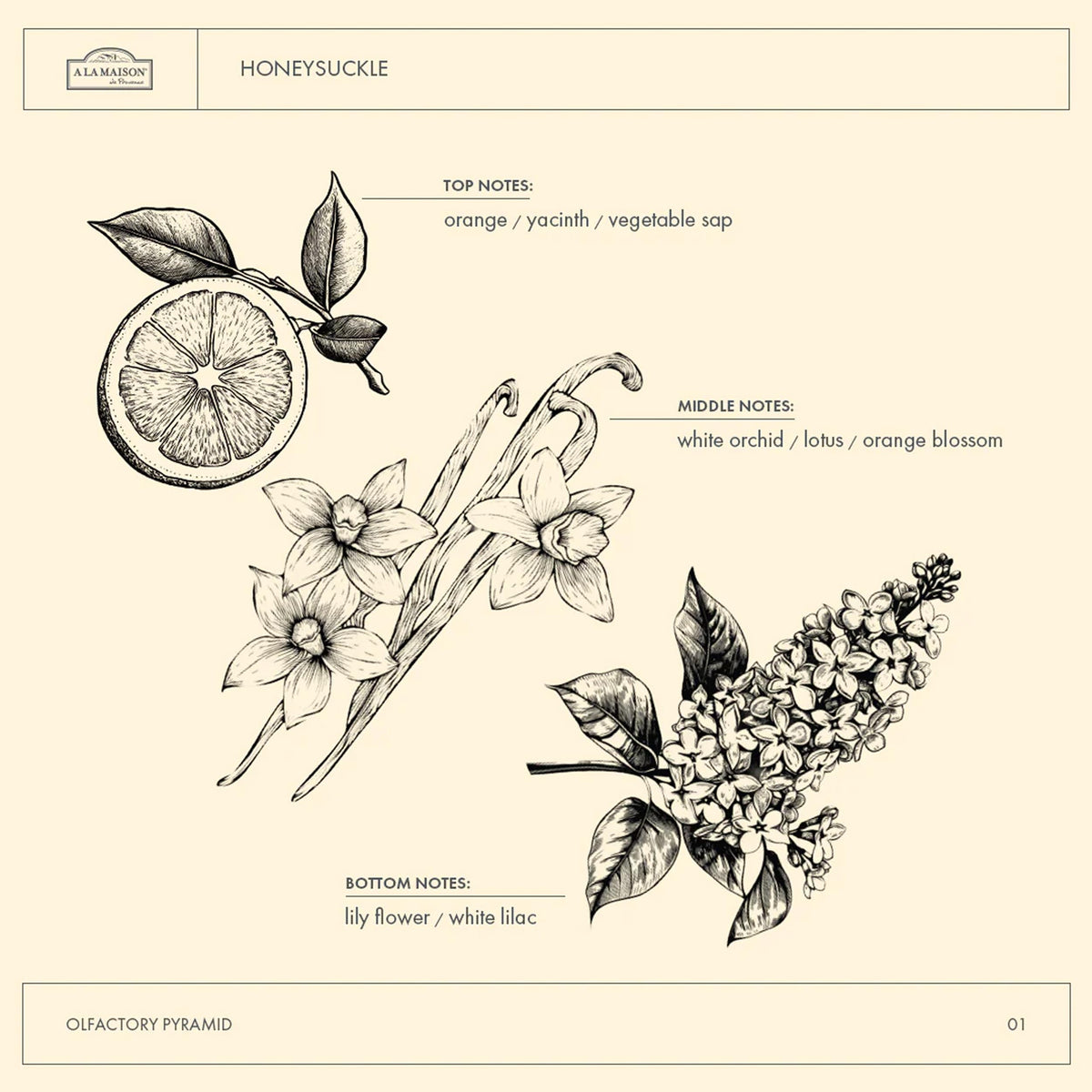 A LA MAISON bottle held in hand for scale showing 16.9 oz size and convenient refill benefit