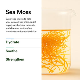 Abib clear spot serum ingredient label highlighting azelaic and seamoss