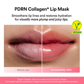 Abib ingredient label close-up highlighting PDRN and vegan collagen benefits