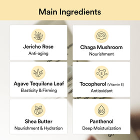 Abib Jericho Rose cream staged in bathroom routine illustrating daily use benefit