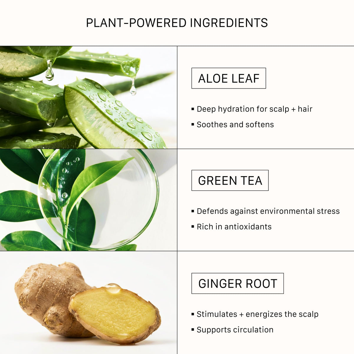 ACTIIV ingredients panel close-up highlighting plant-based formulation benefits