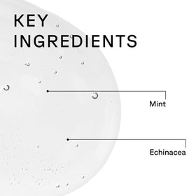 Acure peppermint and echinacea botanicals highlighting scalp-refreshing benefit