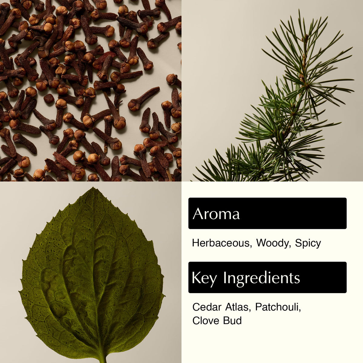 Aesop Eleos pump and label close-up highlighting ingredient clarity and quality