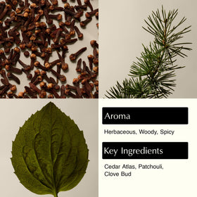 Aesop Eleos pump and label close-up highlighting ingredient clarity and quality