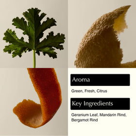 Aesop geranium leaf pump dispenser being pressed for controlled, mess-free use benefit