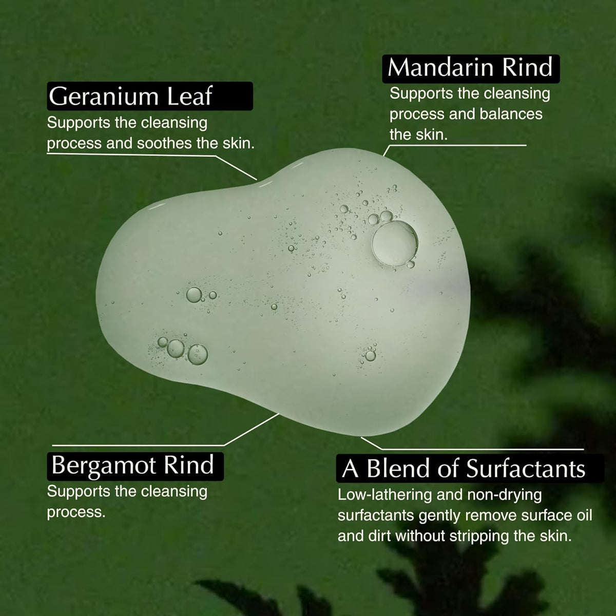 Aesop label detail highlighting ingredient names and premium presentation for confident choice