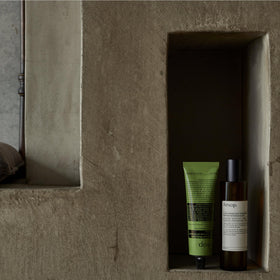 Natural pumice and bamboo stems alongside Aesop scrub ingredients illustrating plant-based exfoliation