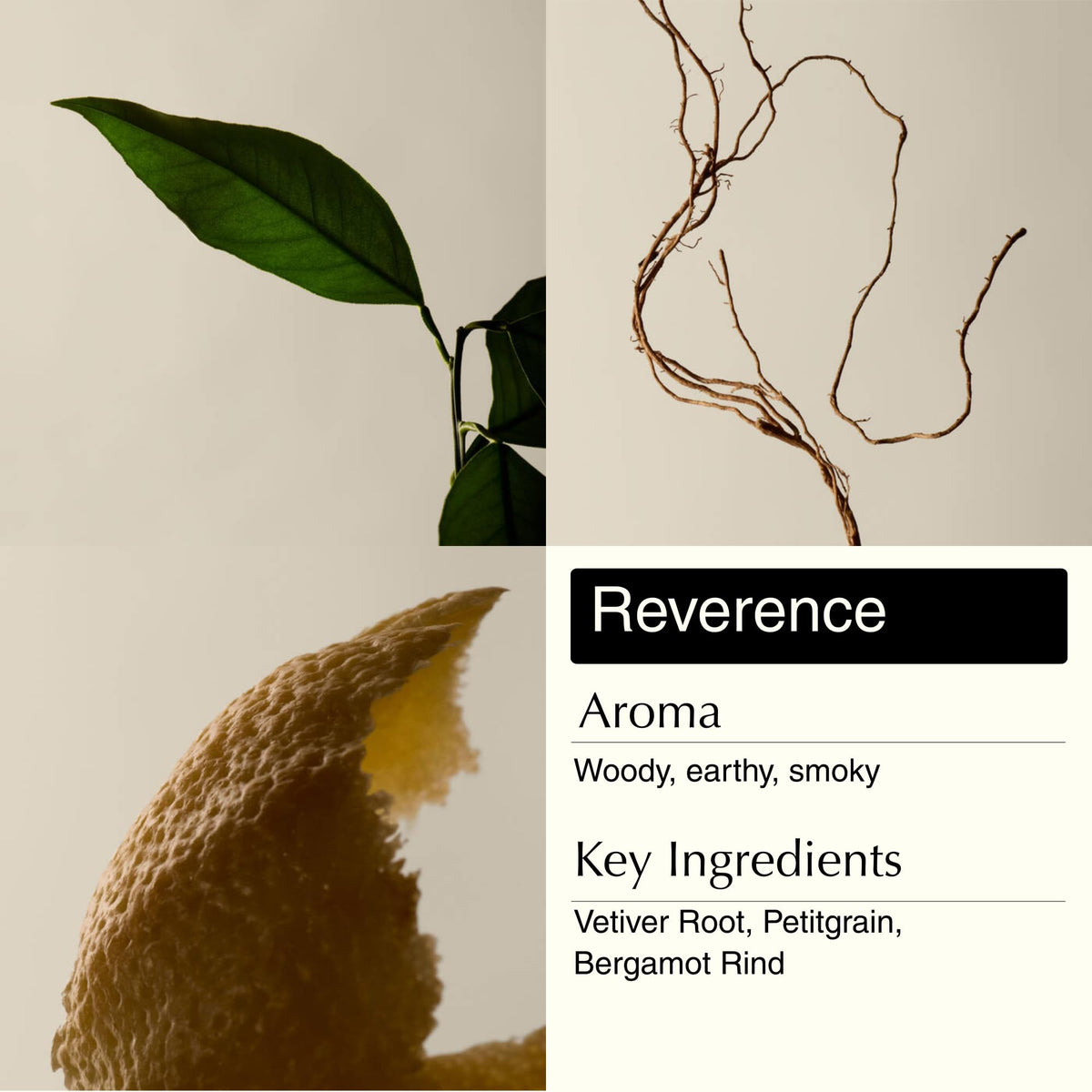 Aesop key ingredients mandarin rind and rosemary displayed to emphasize botanical freshness