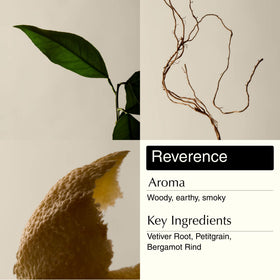 Aesop key ingredients mandarin rind and rosemary displayed to emphasize botanical freshness