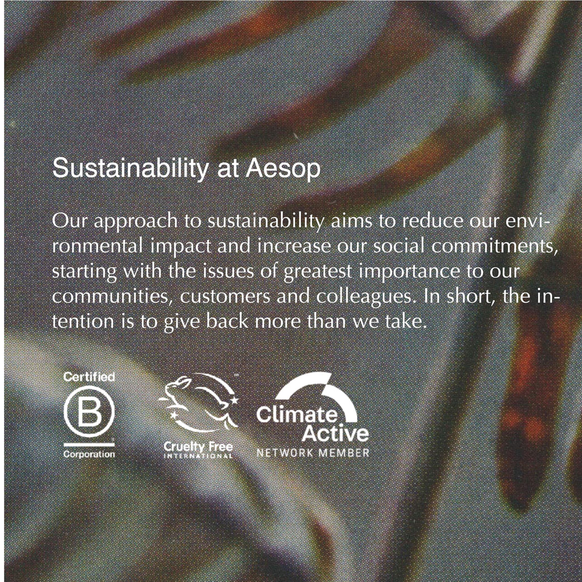 Aesop recycled aluminum tube packaging highlighting sustainable choice