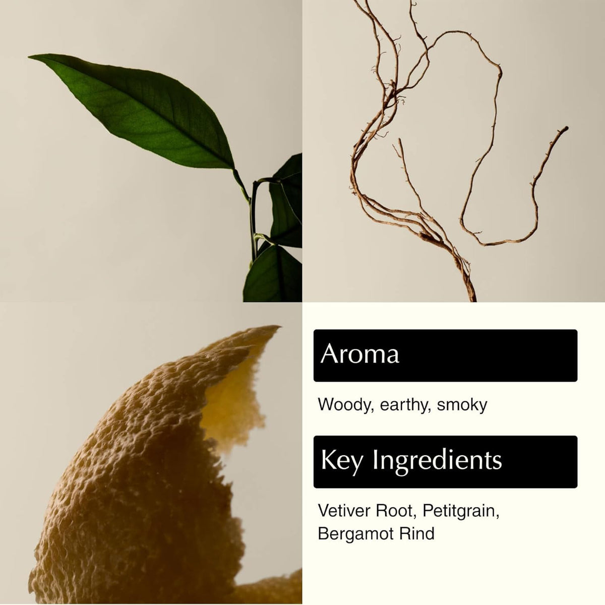 Aesop close-up of fine pumice texture, gentle exfoliation benefit
