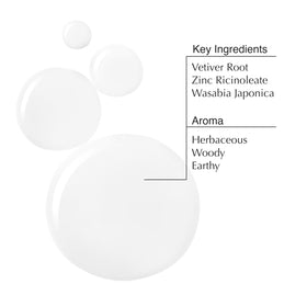 Aesop roll-on in hand demonstrating portable size and easy, mess-free application