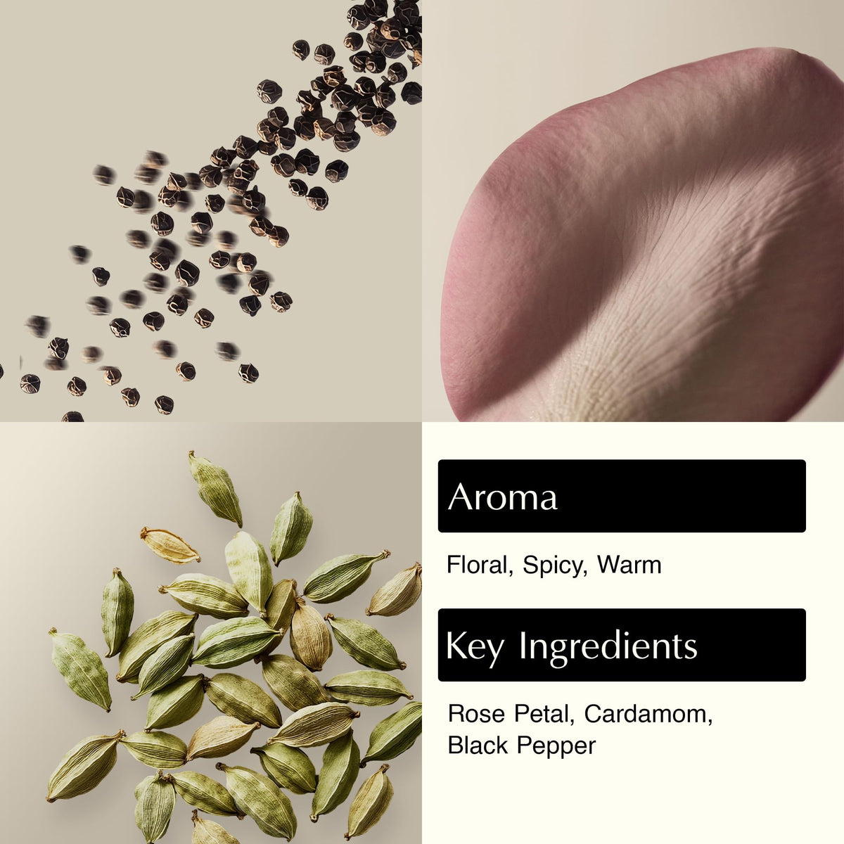 Aesop pump close-up demonstrating easy dispensing and controlled usage benefit