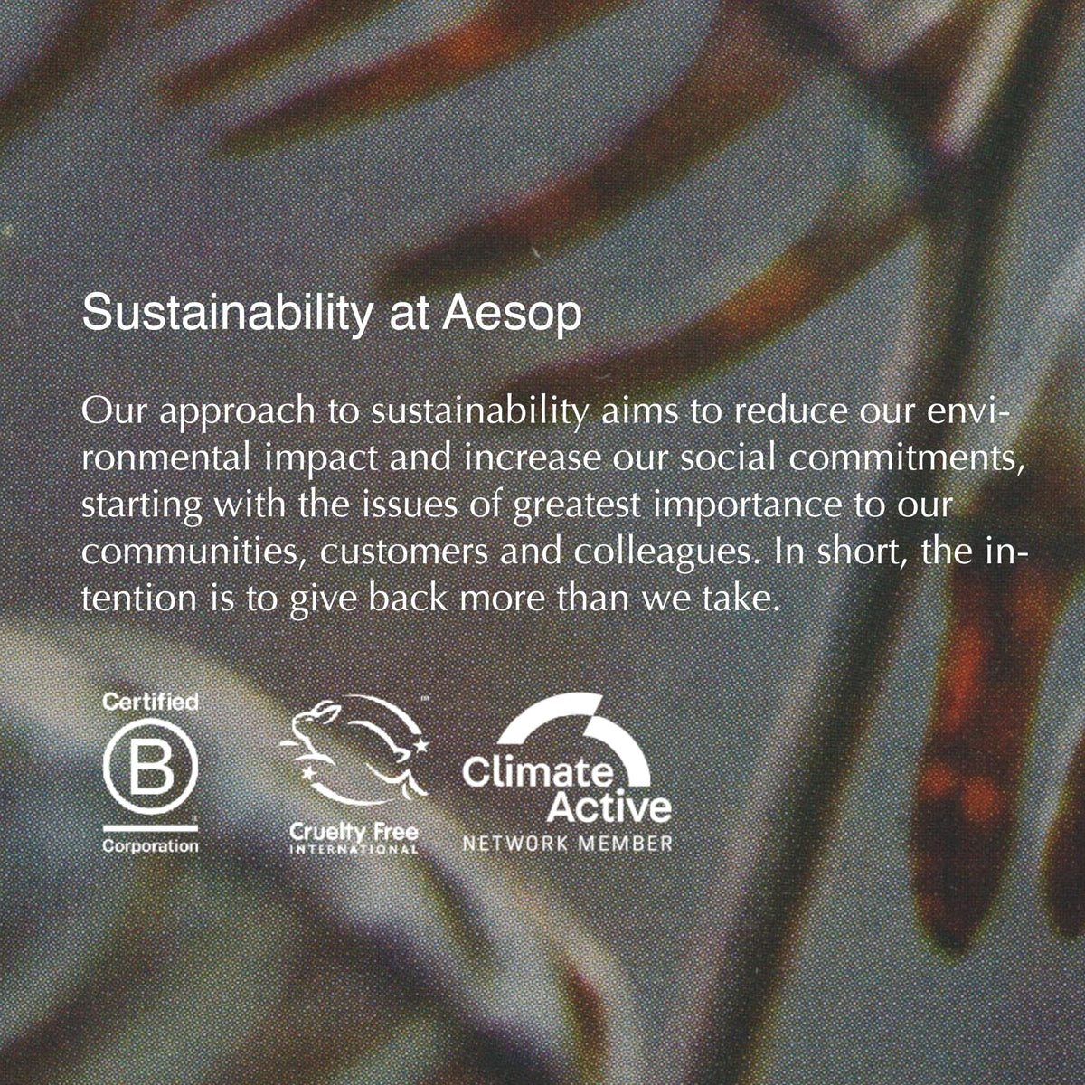 Aesop bottle on bathroom counter conveying everyday grooming routine ease