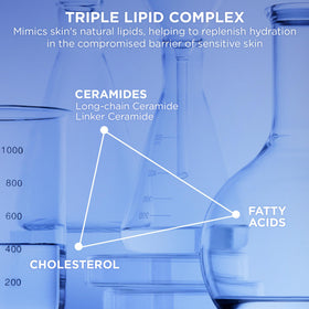 AESTURA ceramide and lipid visual emphasizing barrier-repair benefits