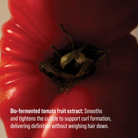 AG Care applied to damp curls to show frizz reduction and definition