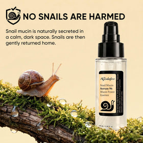 Agodafoo 100ml bottle next to common items for size and portability