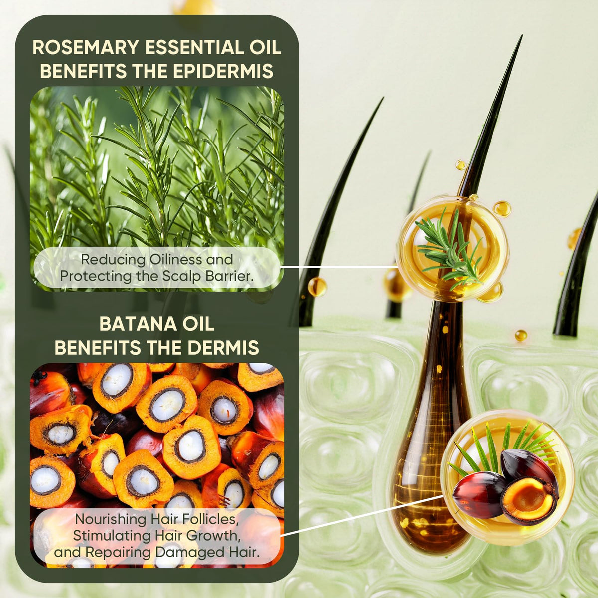 Agodafoo scalp massage application with fingertips, indicates targeted nourishment for roots