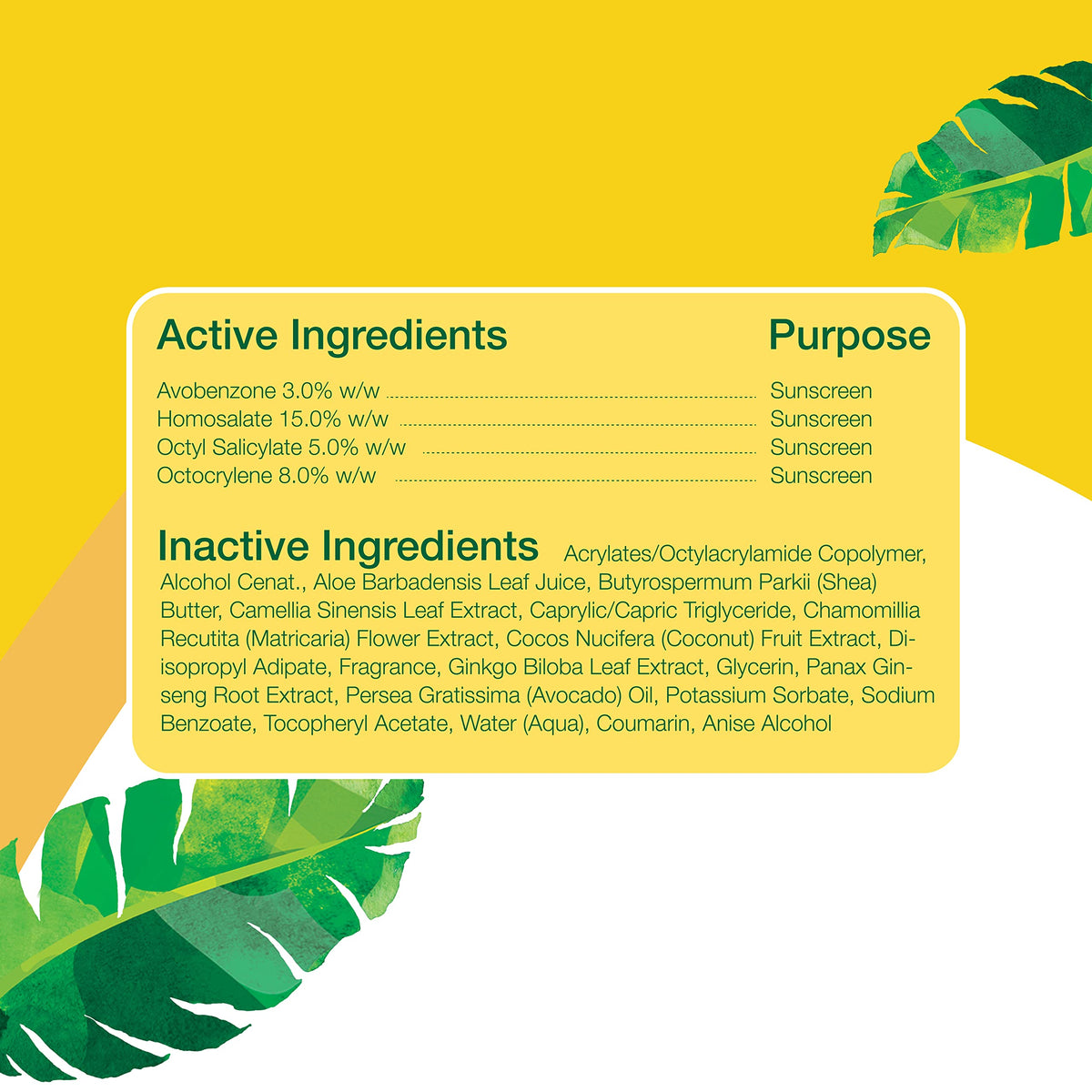 Alba Botanica texture on skin showing quick-dry finish and lightweight feel