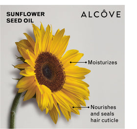 Alcôve ingredients display with argan, pomegranate and mango highlighting nourishment