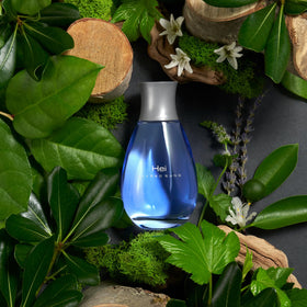 ALFRED SUNG HEI close-up label with readable branding and ingredient clarity