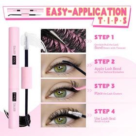 ALICE application step demonstration showing simple three-step use
