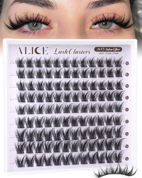 ALICE front packaging shows cluster lashes and product details for easy selection