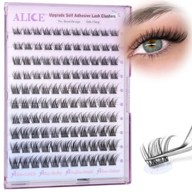 ALICE storage tray and case with clusters, protects shape and enables reuse