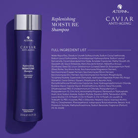 Alterna shampoo beside conditioner showing complementary protection