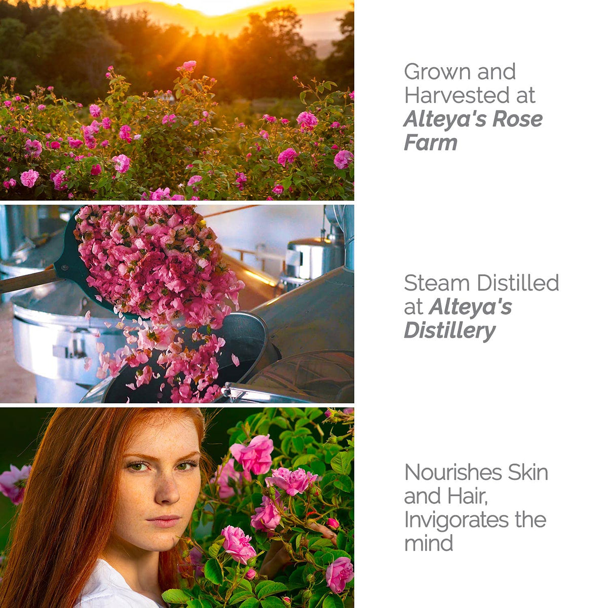 Alteya Organics pouring rose water into hand for immediate hydration