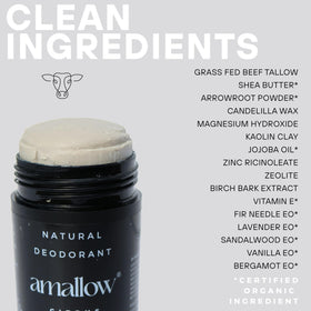 Amallow Everwood ingredient label close-up showing zinc and magnesium actives