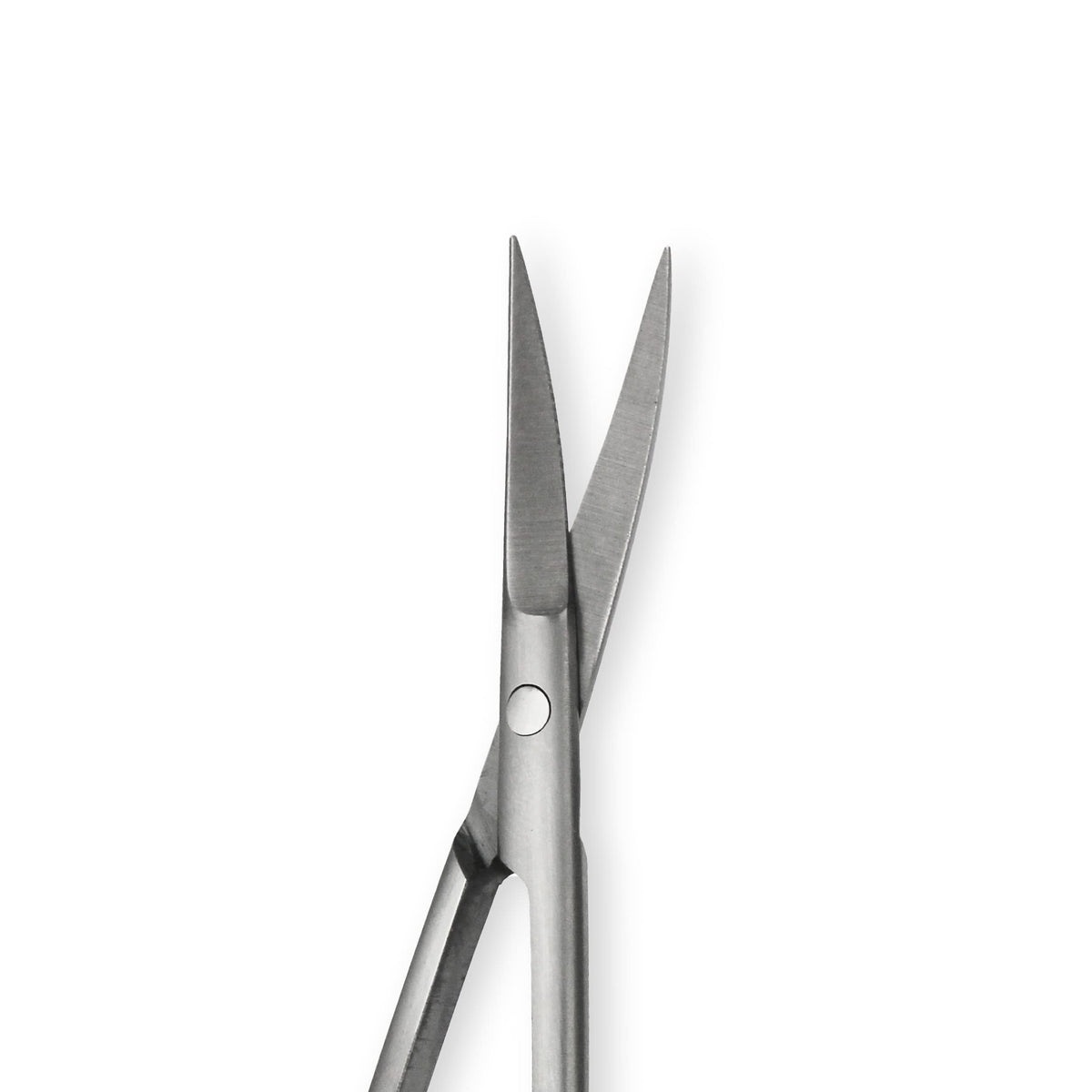 Amazon Basics scissors held in hand demonstrating size for precise grooming and comfortable control