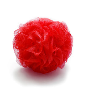 Amazon Basics loofah next to shampoo bottle for scale and easy travel-ready size