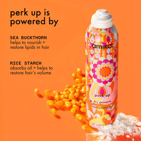 Amika Perk Up applied to hair texture close-up adding visible lift and body