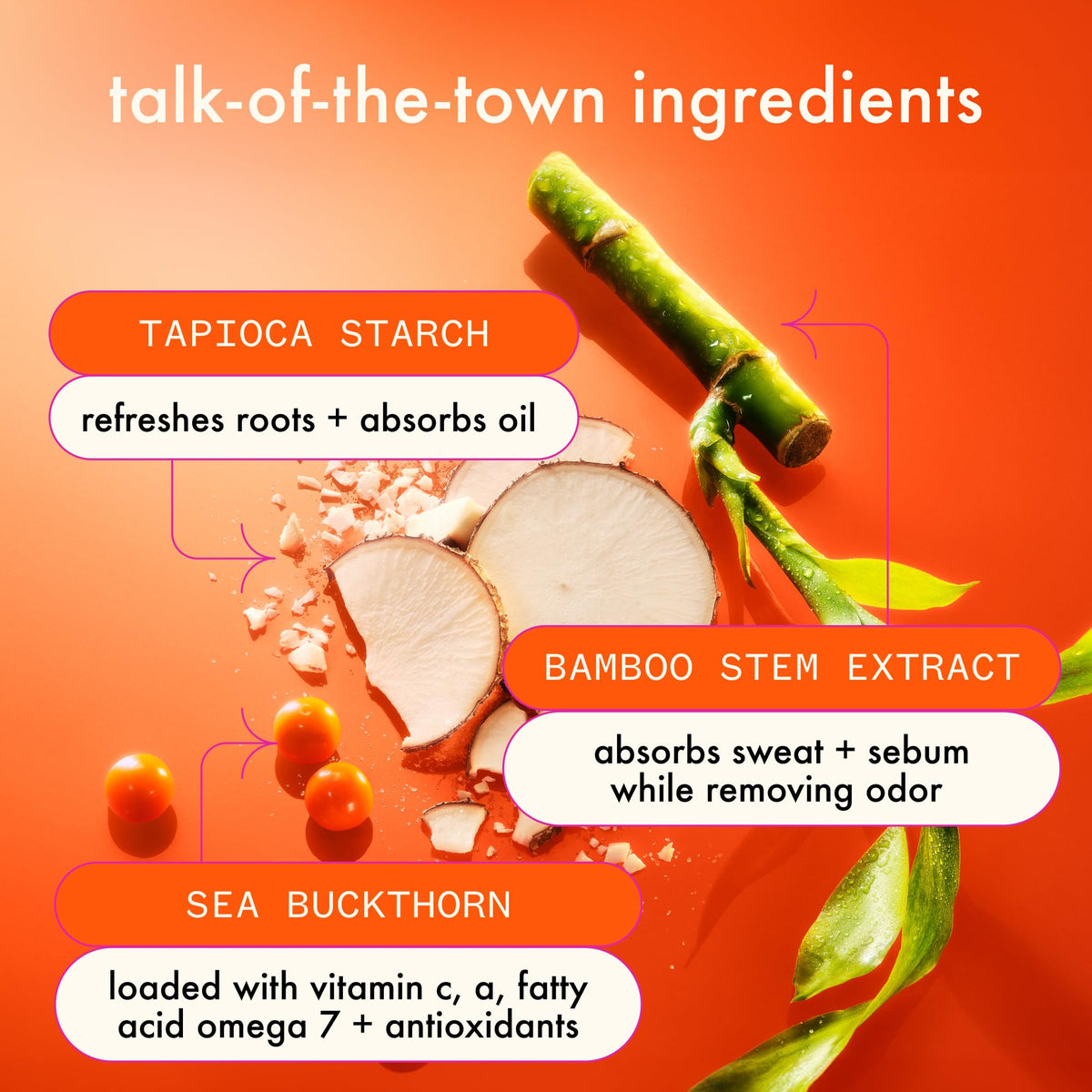 Amika before and after roots comparison showing reduced oil