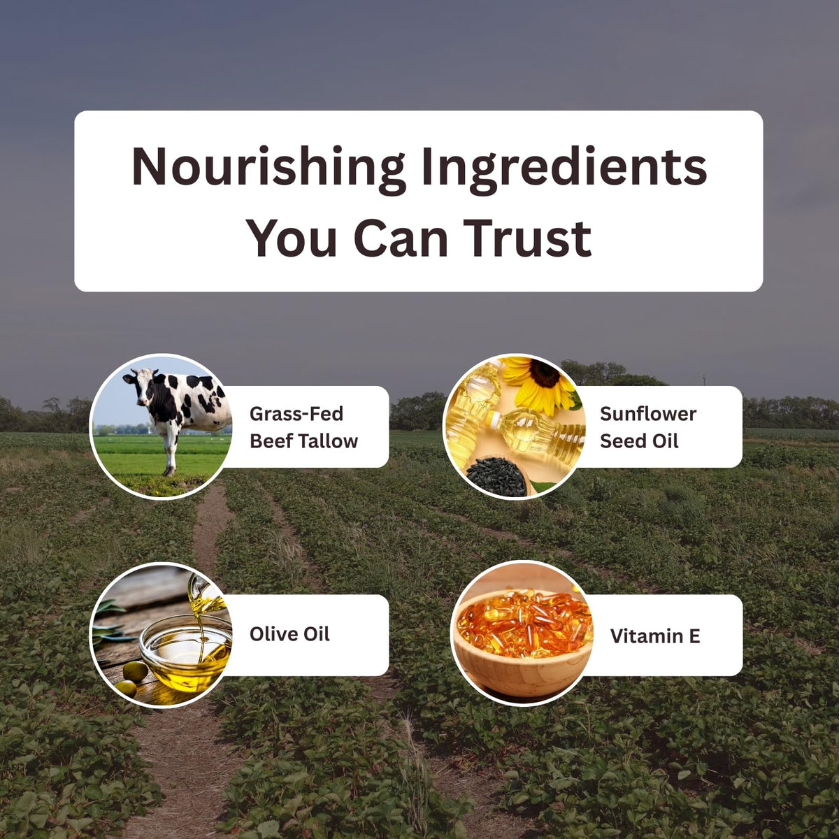 Amish Farms applying cream to hand demonstrating hydrating benefit