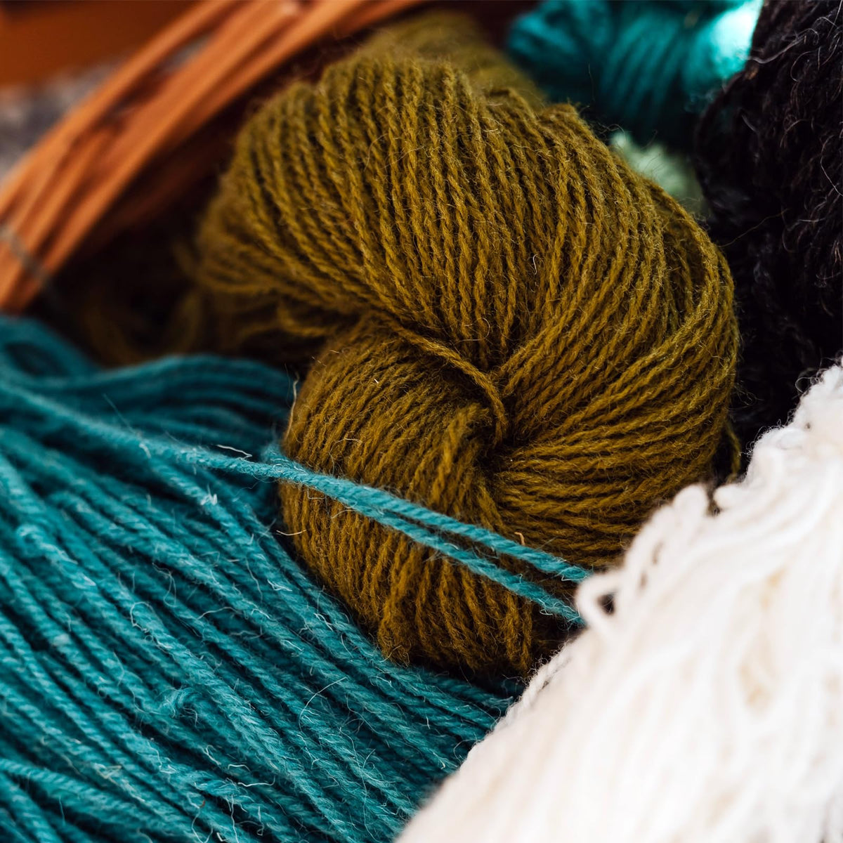 AMOZA cotton sliver stretched to show 13 feet continuous length for longer projects