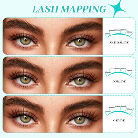 AMZGIRL LASH clusters arranged in neat rows to show 30D/40D/50D/60D density options
