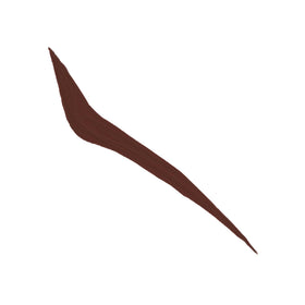 Anastasia Beverly Hills swatch stroke showing intense matte brown payoff