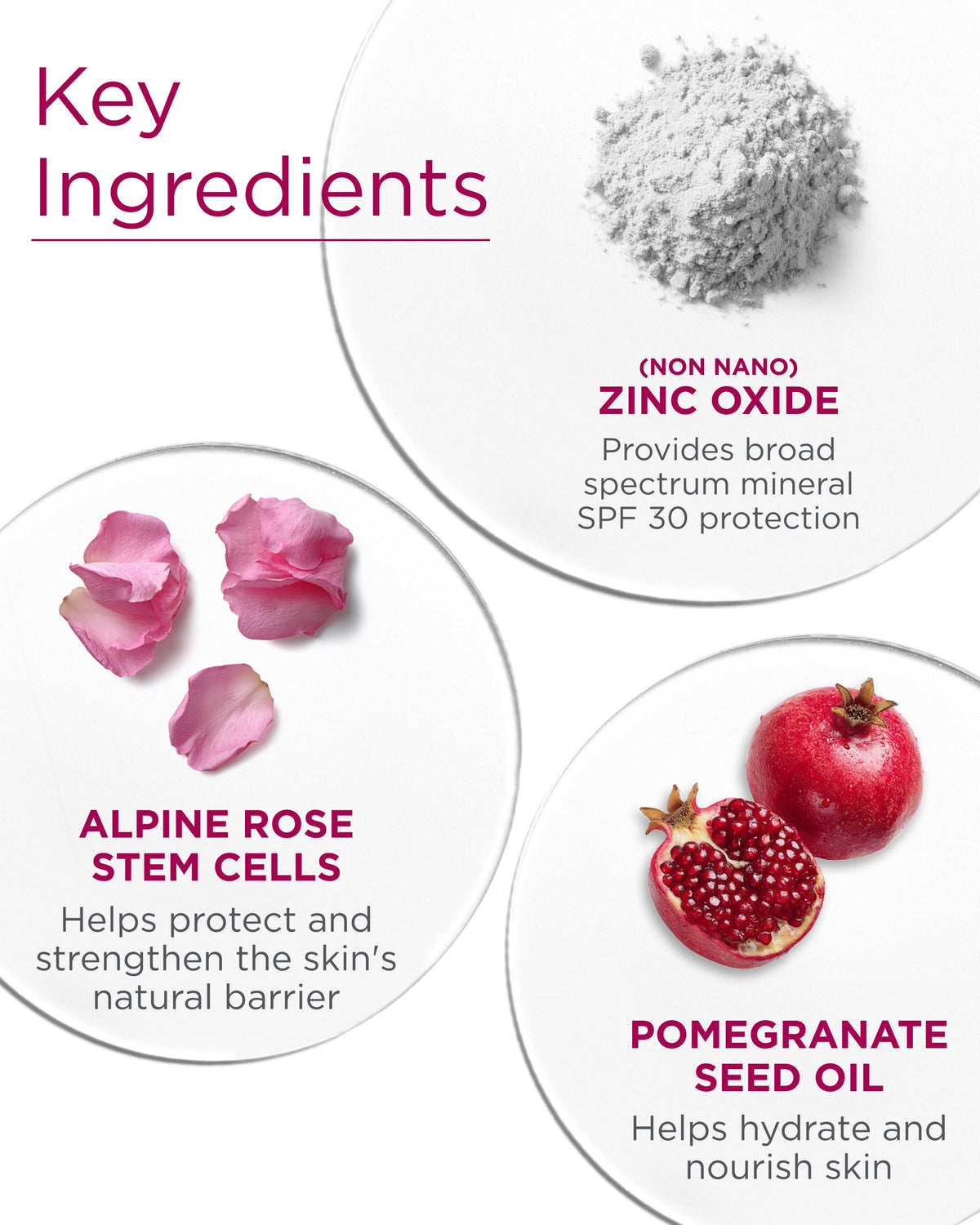 Andalou Naturals ingredients label highlighting alpine rose stem cells and zinc oxide