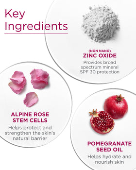 Andalou Naturals ingredients label highlighting alpine rose stem cells and zinc oxide