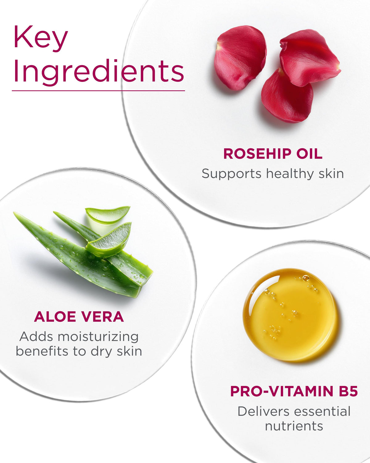 Andalou Naturals held in hand to show 8.5 fl oz size and travel-friendly convenience