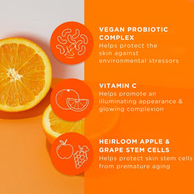 Andalou Naturals berry complex ingredients arranged to show antioxidant-rich sources