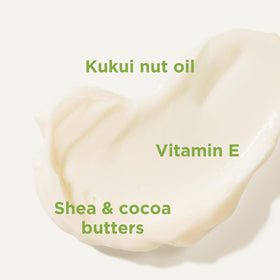 Flatlay of shea, cocoa, kukui and argan ingredients with Andalou Naturals emphasizing natural potency