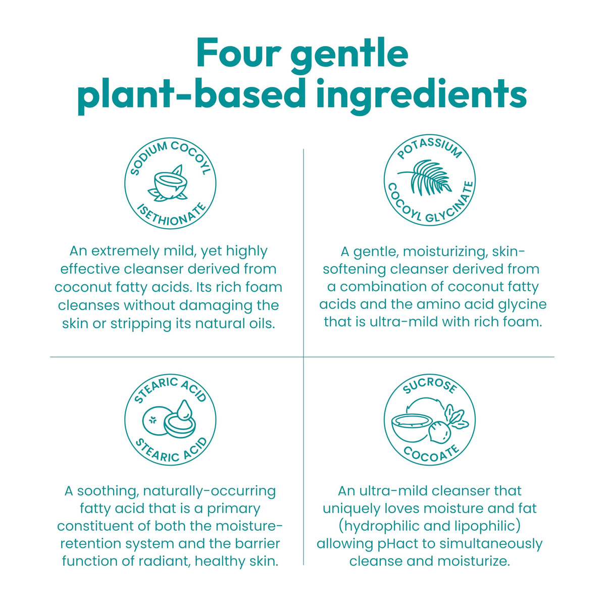 ANDREW LESSMAN ingredients label highlighting four plant-based ingredients and purity