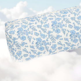 ANKICK transparent brush pocket detail showing easy visibility and quick access