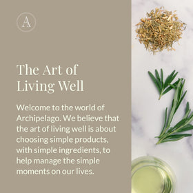 Archipelago Botanicals lotion held in hand showing true scale and generous 18 oz value