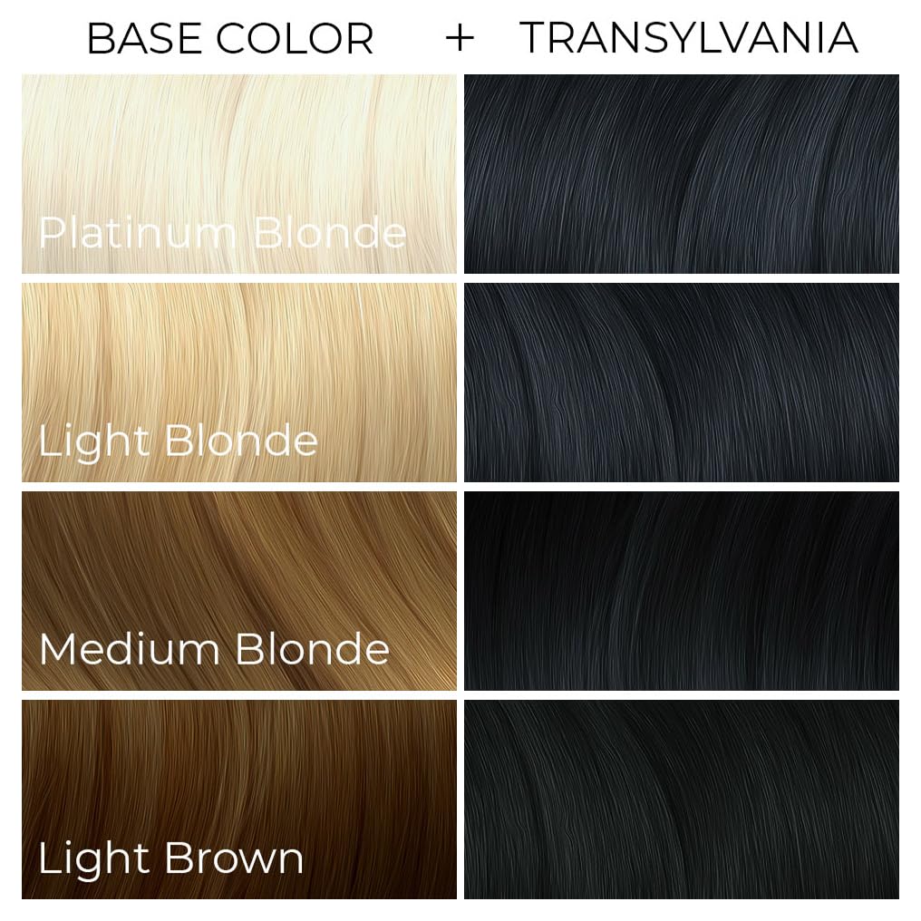 ARCTIC FOX TRANSYLVANIA lifestyle studio image showing finished blue-black hair styling