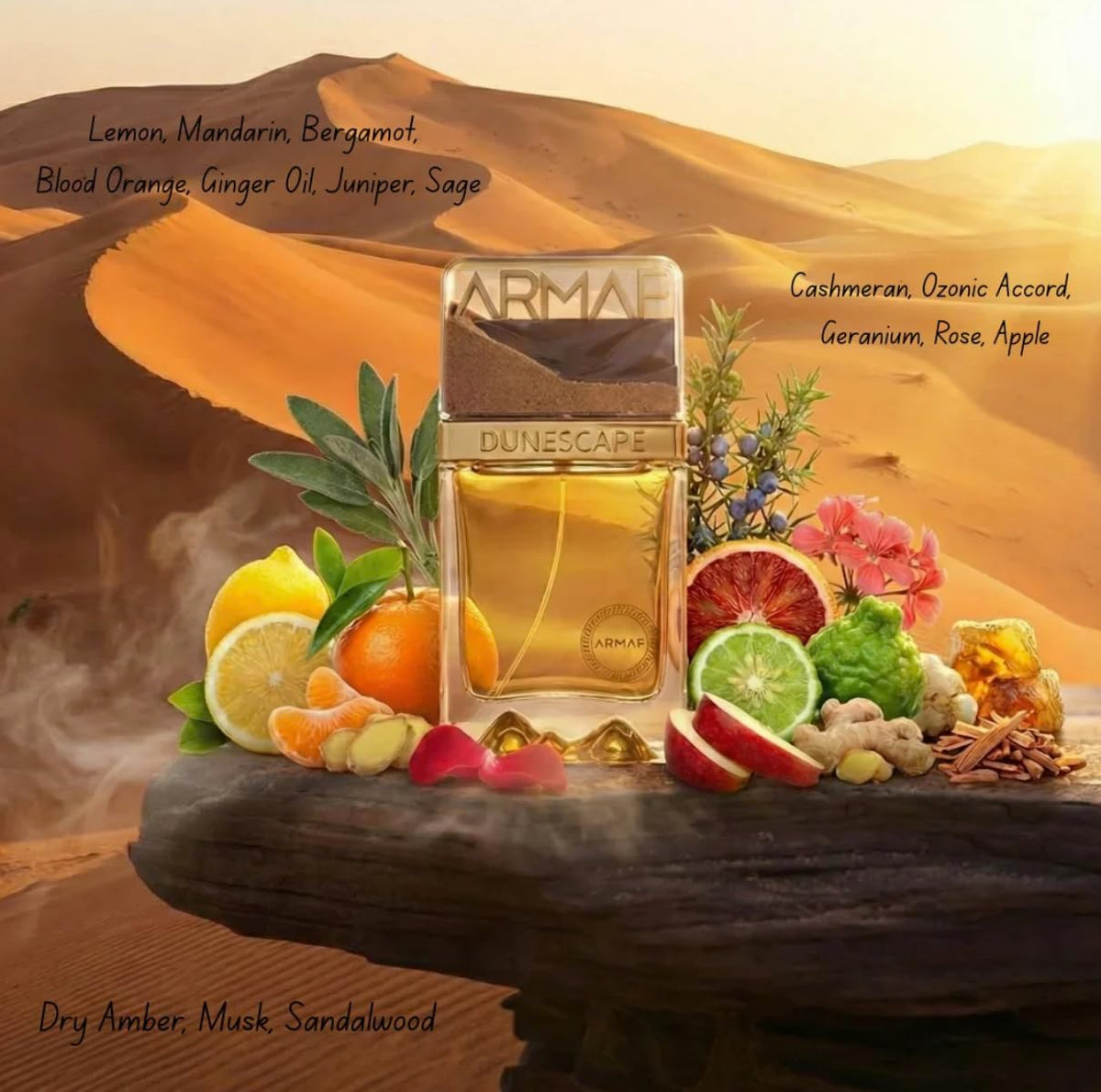 Armaf Dunescape notes display with fruits and woods showing bright ingredients